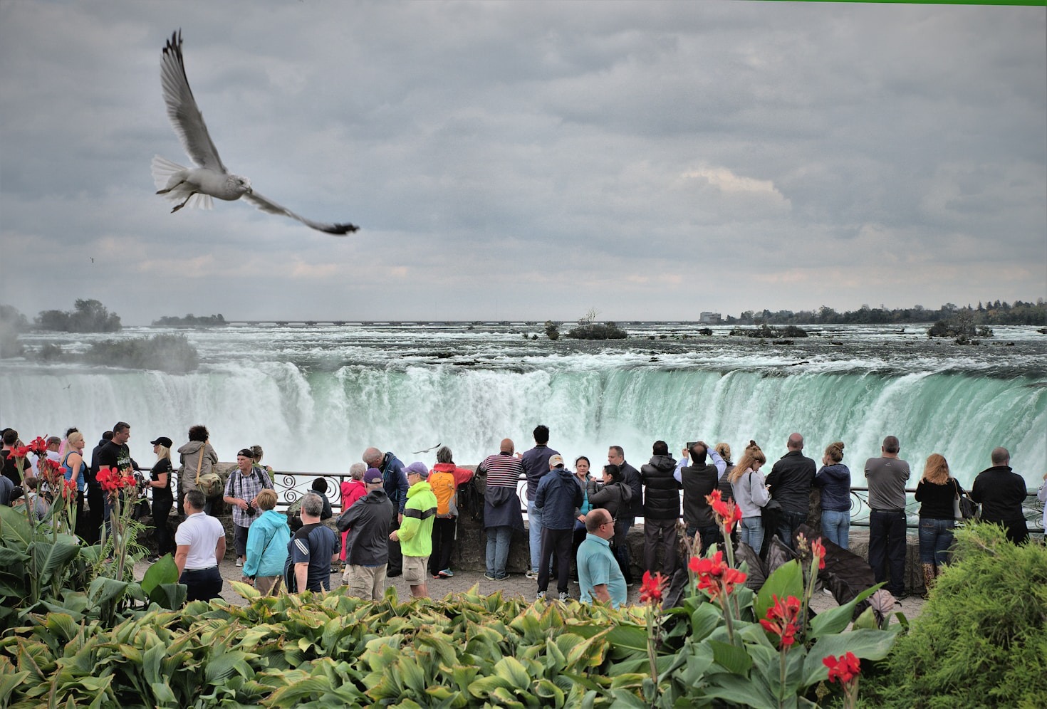 Why Customized Travel Is the Future of Tourism